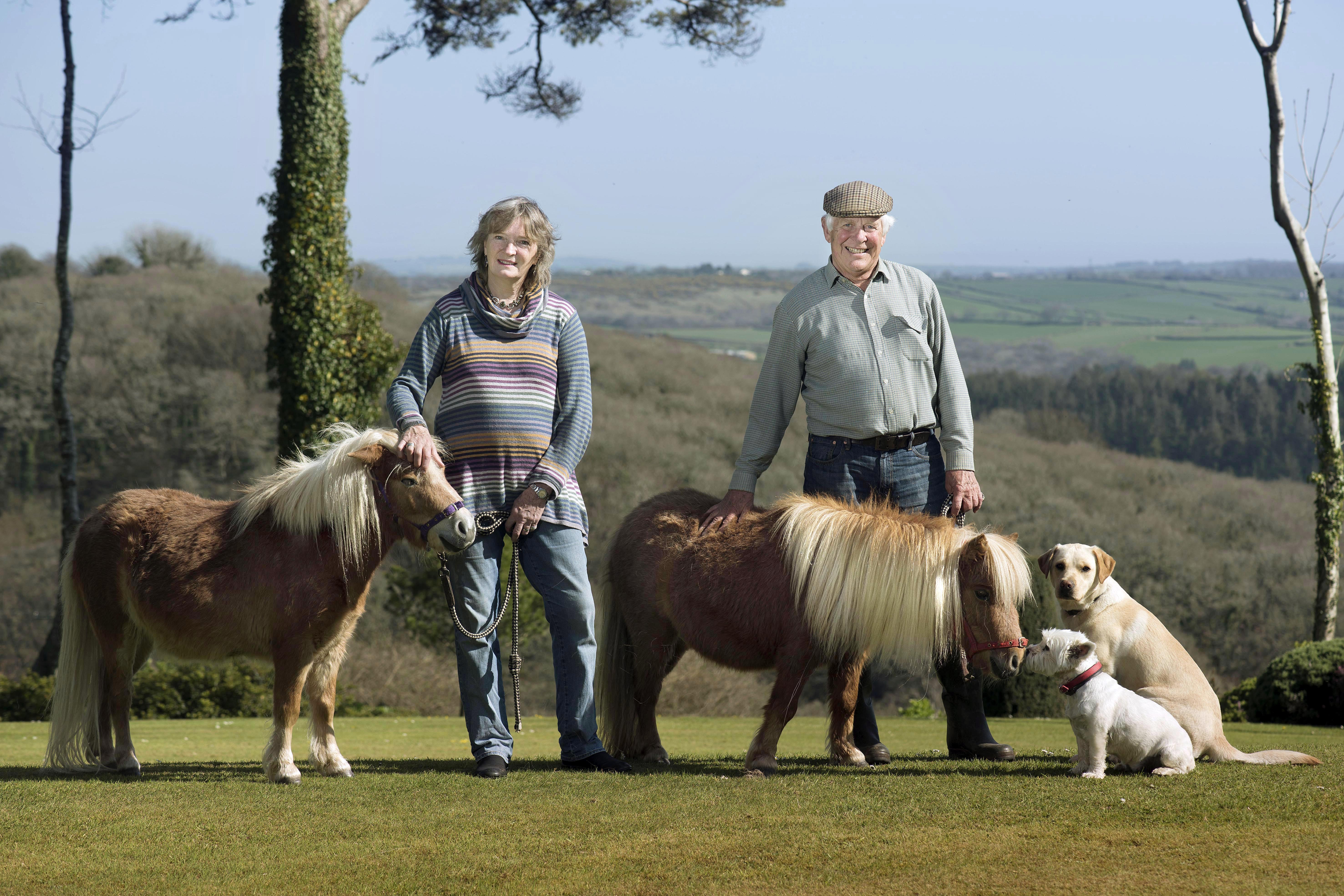 Robin and Louella with horses and dogs, on Bodmin Moor