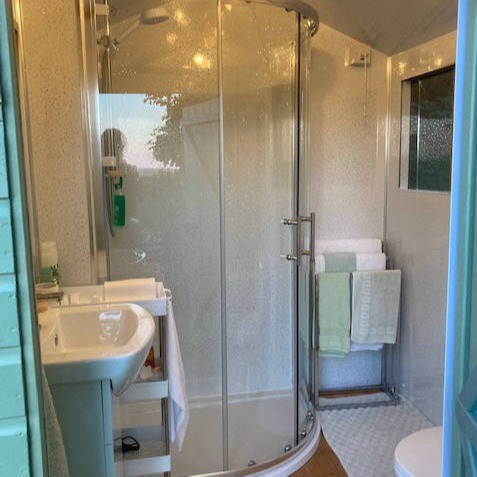 Bathroom Shower Sink